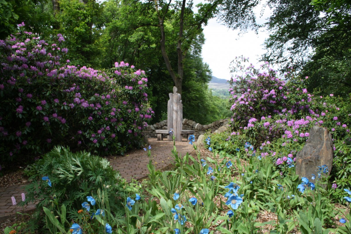 The Explorers Garden is set in the grounds surrounding the Pitlochry Festival Theatre.  Why not vist the gardens then go to the theatre and have something to eat then take in a show!