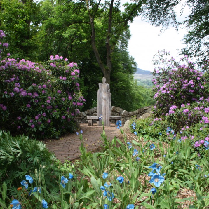 The Explorers Garden is set in the grounds surrounding the Pitlochry Festival Theatre.  Why not vist the gardens then go to the theatre and have something to eat then take in a show!