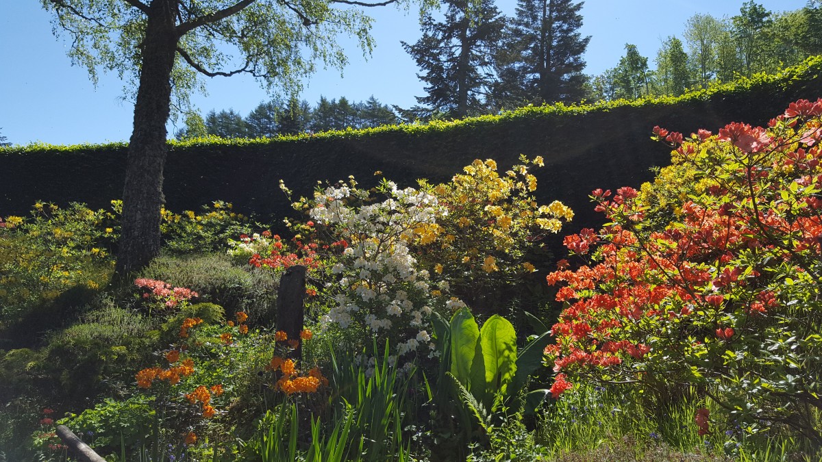 Bolfracks Estate is a 4,000 acre privately owned family estate surrounded by glorious highland Perthshire. Perched on the banks of the River Tay the estate enjoys some of Scotlands most beautiful landscapes.