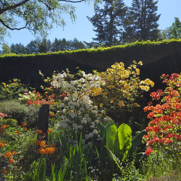 Bolfracks Estate is a 4,000 acre privately owned family estate surrounded by glorious highland Perthshire. Perched on the banks of the River Tay the estate enjoys some of Scotlands most beautiful landscapes.