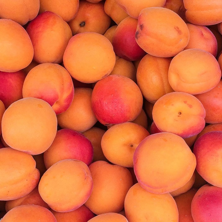 Rustic French Apricot Tart
