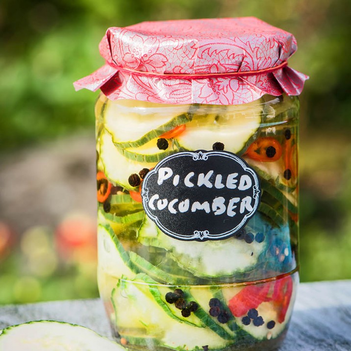 Pickled Cucumbers