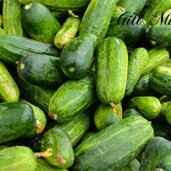 PICKLED CUCUMBER