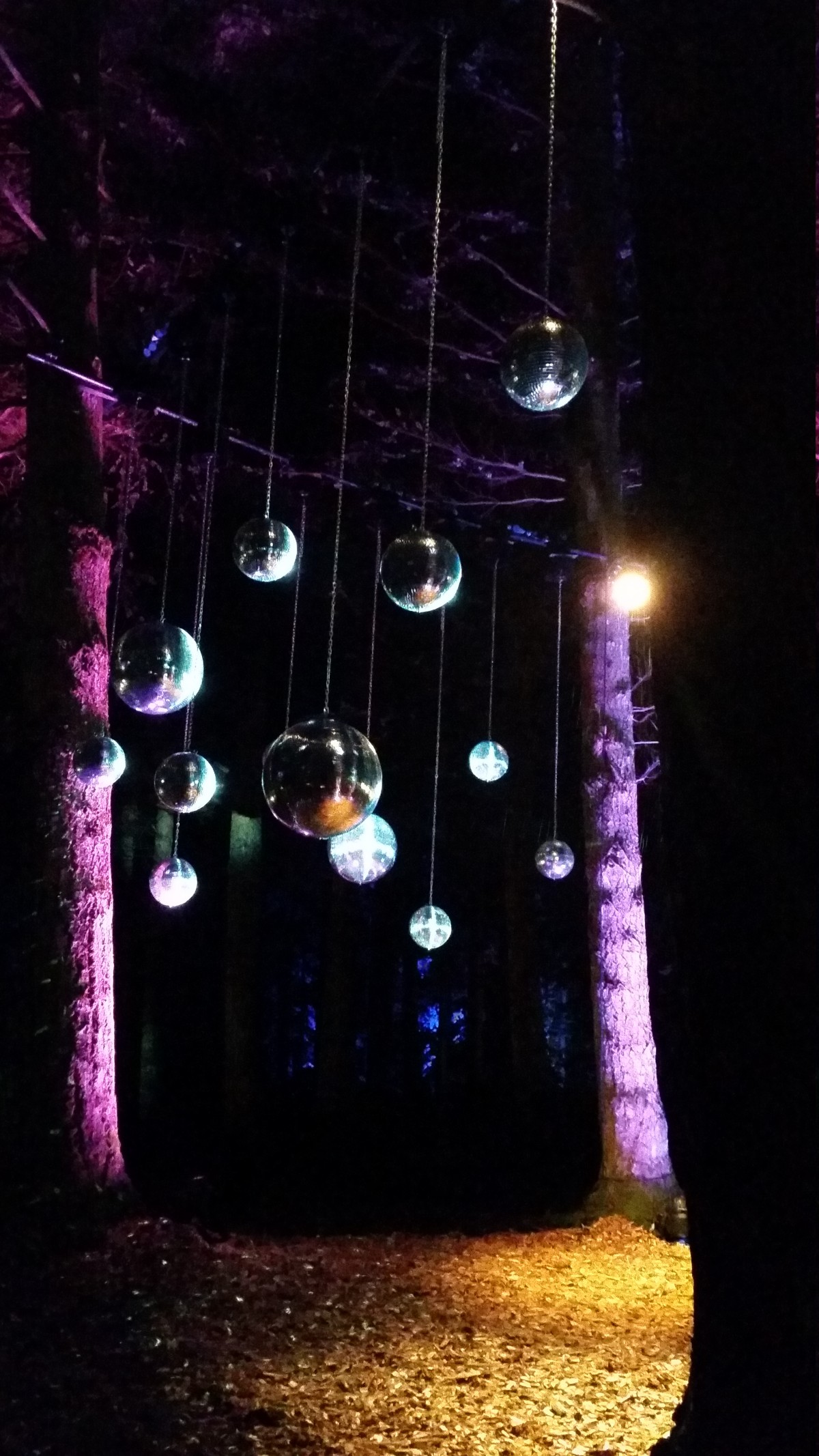 Enchanted Forest 2016 disco balls