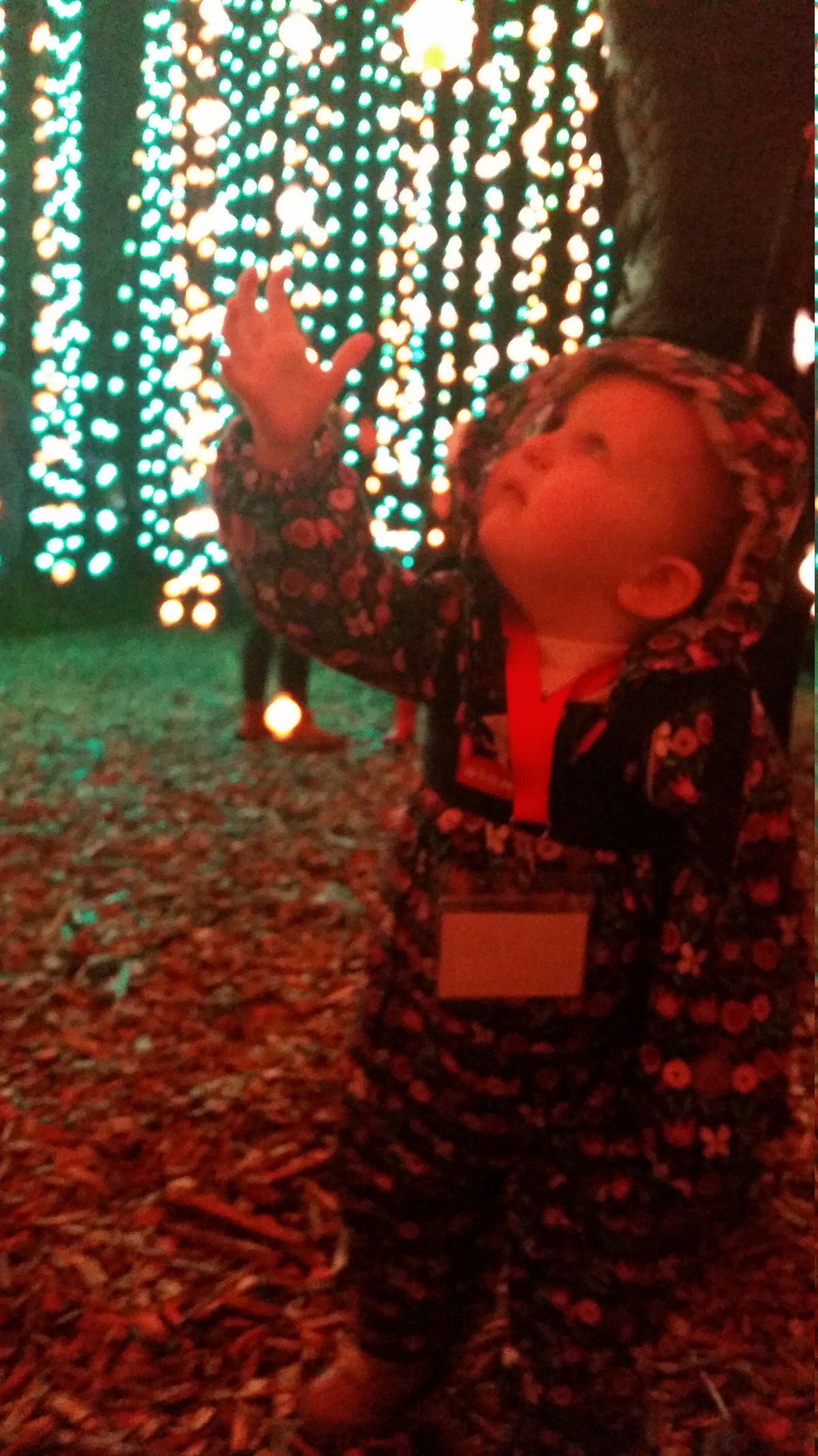 Enchanted Forest 2016 Freya dangly lights