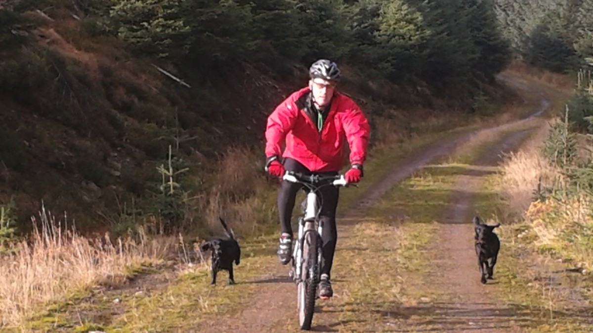 ECO CAMP WORKDAYS - BIKE AND DOG