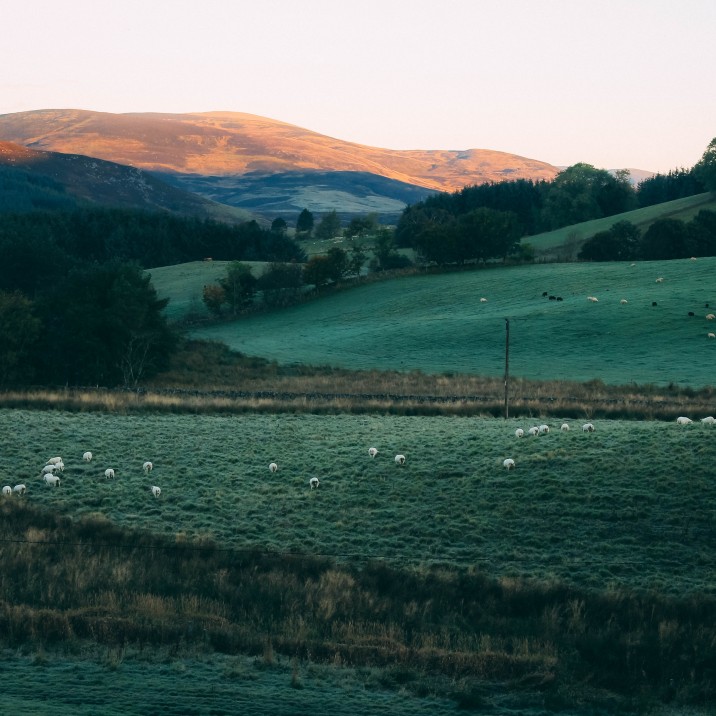 What a beautiful landscape