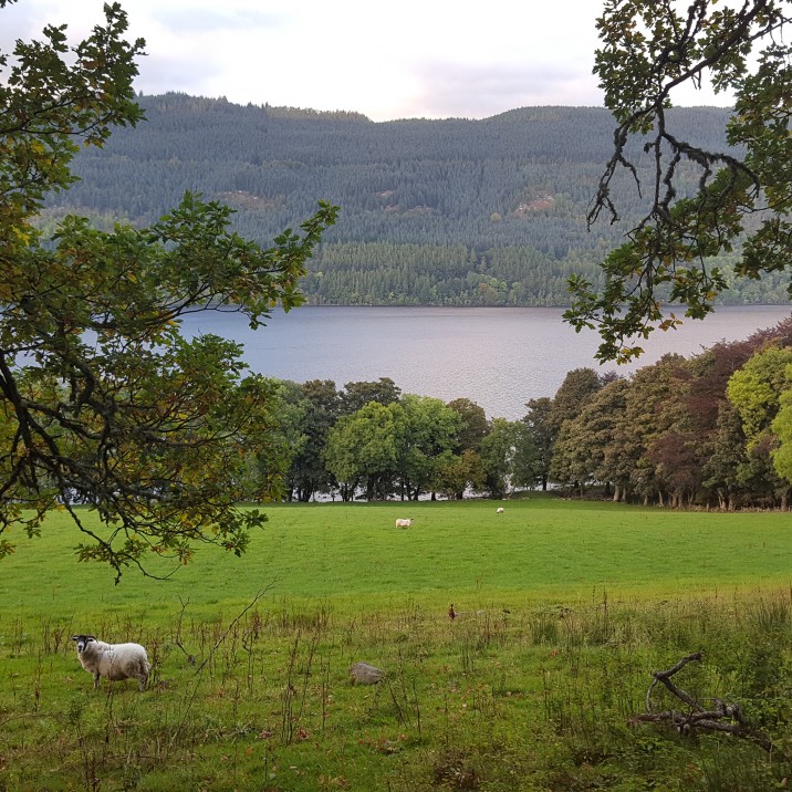 Farmland, Hillsides, Lochs and Trees for as far as the eye can see in Kenmore, Perthshire in Scotland.