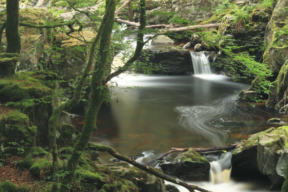 Fast moving water heading downstream into a rock pool surrounded by trees and mossy rocks. A wonderful picture capturing a hidden beauty spot in the Perthshire countryside.