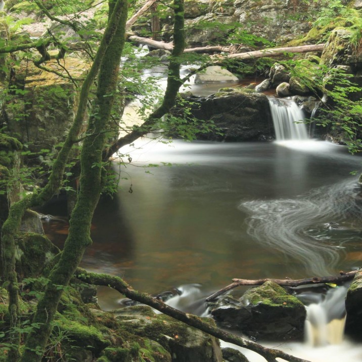 Fast moving water heading downstream into a rock pool surrounded by trees and mossy rocks. A wonderful picture capturing a hidden beauty spot in the Perthshire countryside.