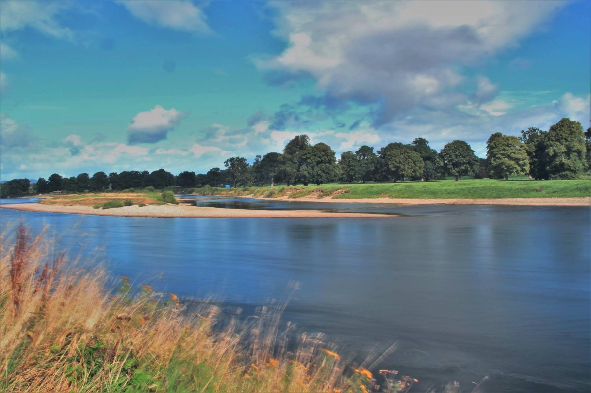 Beautiful sandy beach and blue skies, you can almost feel the sun on your face and the birds tweeting.