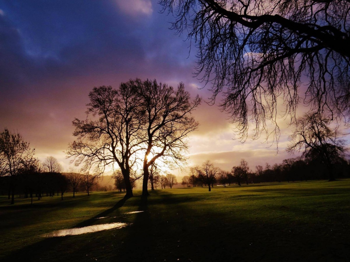 What a lovely spectrum of colour in the sky with the black spiny outline of the tree, we do live in Big Tree Country afterall!