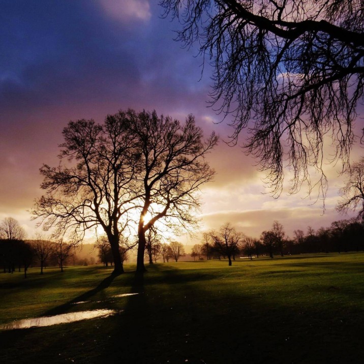 What a lovely spectrum of colour in the sky with the black spiny outline of the tree, we do live in Big Tree Country afterall!