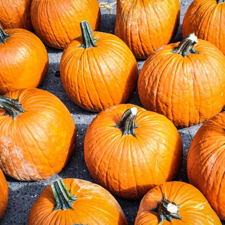 Pumpkins are not only handy for Halloween you can also use any leftovers for a tasty roasted pumpkin soup.