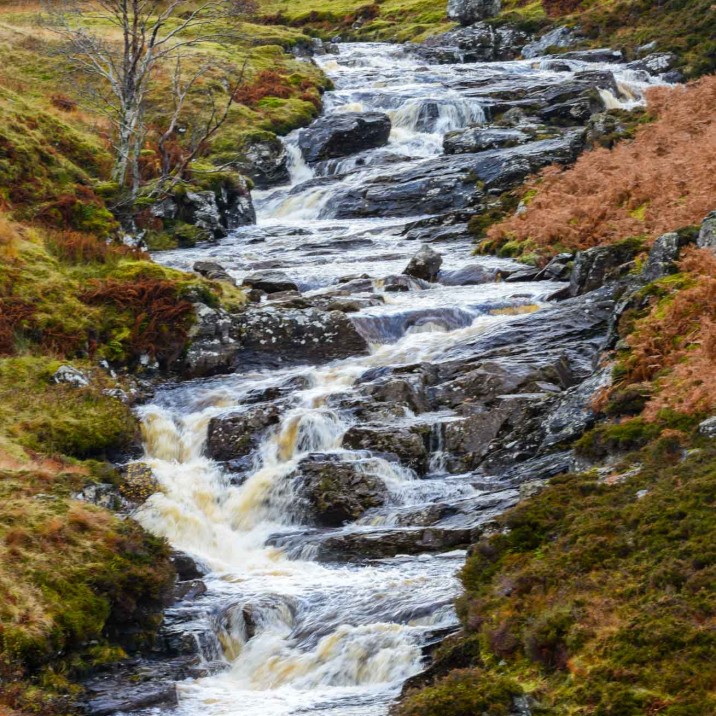 Autumn hues of gold, bronze and yellow fill the countryside.
