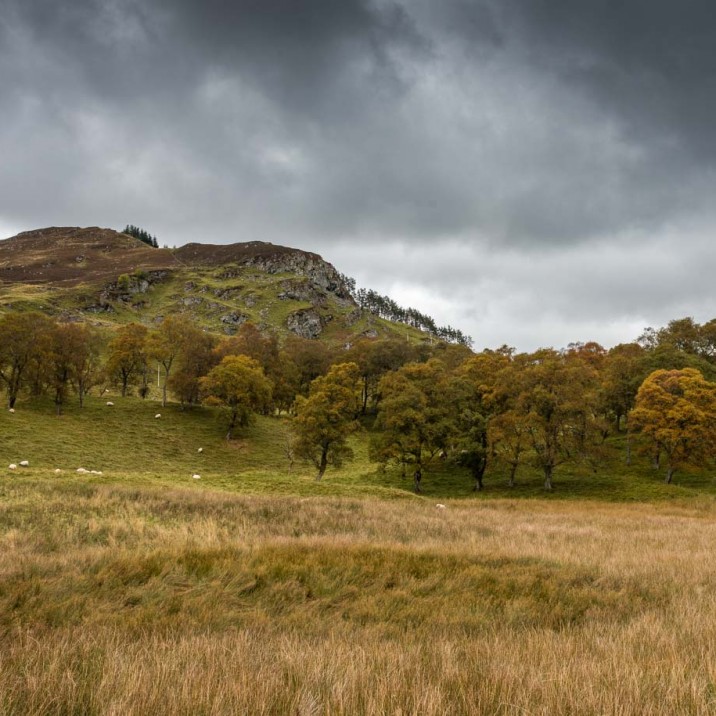 Photographer Tom Brydone perfectly captures the diverse landscape of Big Tree Country