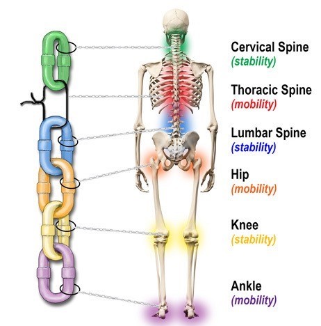 Althos FITNESS skeleton chain