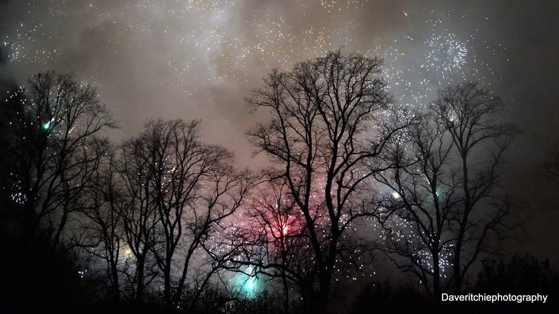 Bonfire Night trees silouette