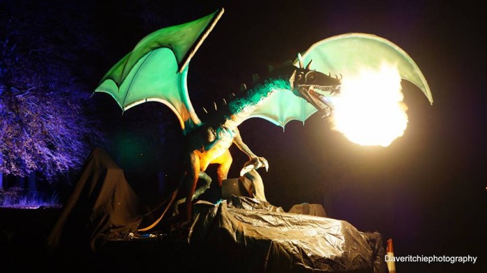 Bonfire Night dragon