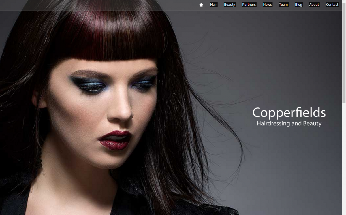 Christmas Gift Guide Copperfields with logo