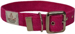 Christmas Gift Guide Tay Vets collar