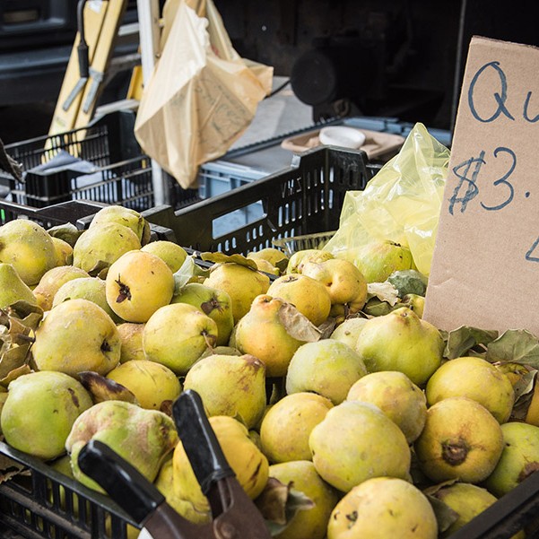 QUINCE JAM - Quince in Tub