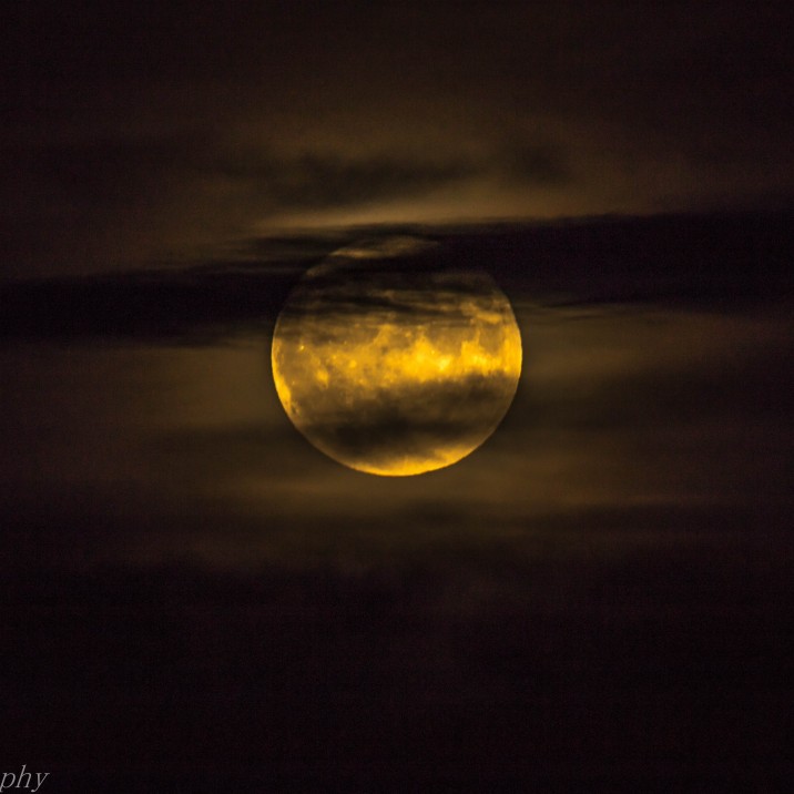 This picture of the Super Moon in Perthshire from Andrew Harvey shows the moon glowing gold with wisps of dark clouds.  You half expect to see a werewolf  howling at the side!