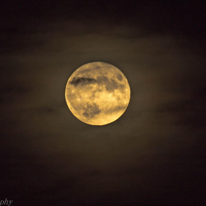 Andrew Harvey took this picture of the super moon over Perth.