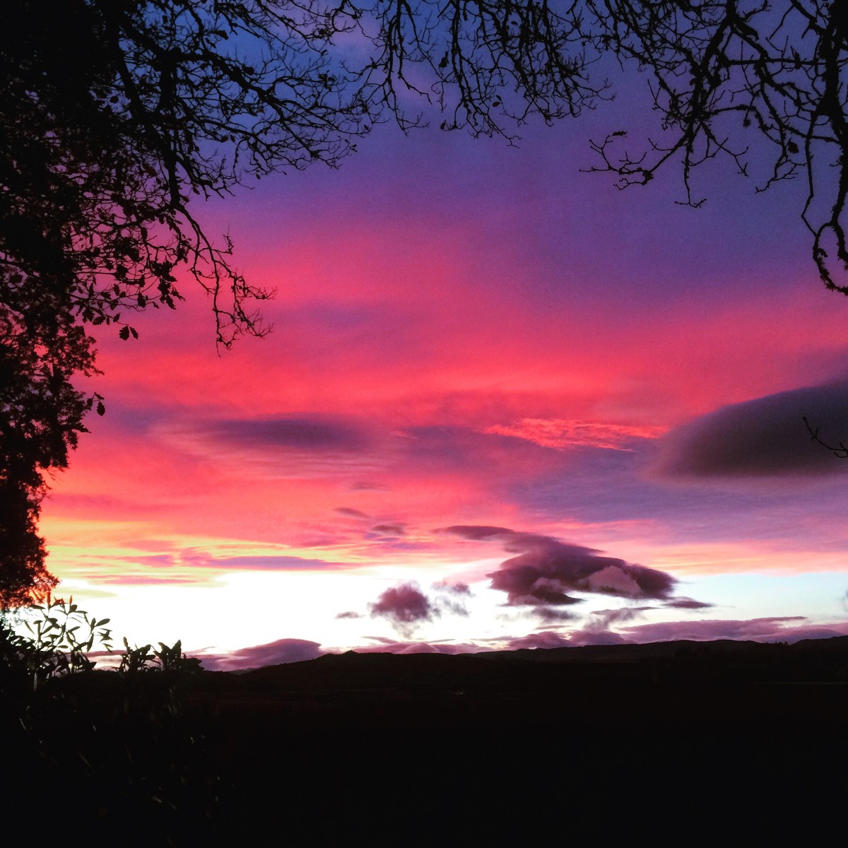 This picture is by Derek Browning and the tree acts as a frame to this beautifully coloured night sky over Perthshire.