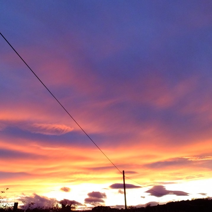 This beautiful picture was taken by Dave Robertson at Leystone Road near to its junction with the A93 between the Meikleour Beech Hedge and the Beech Hedge caravan park.