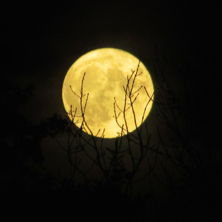 This picture was taken by Peter Murray in Perthshire on the night of the Super Moon, and that's a super moon pic alright!