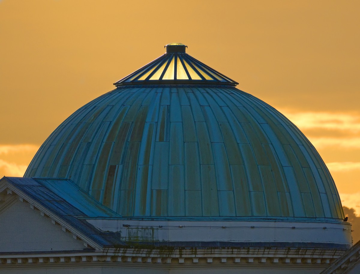 This fantastic picture from Tom Ryan looks so mystical with the gold sky in the backdrop of the Perth Museum and Art Gallery blue domed roof.