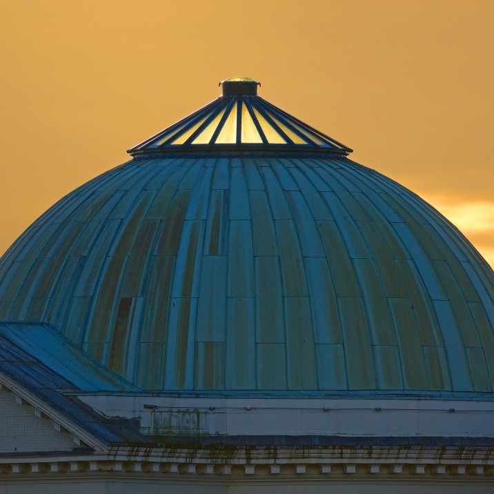 This fantastic picture from Tom Ryan looks so mystical with the gold sky in the backdrop of the Perth Museum and Art Gallery blue domed roof.
