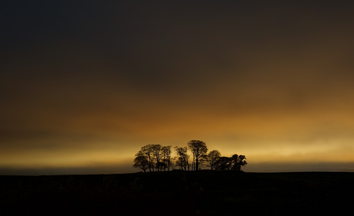 This beautiful image from Tom Ryan shows the trees in Scone in front of a gold glowing sky.