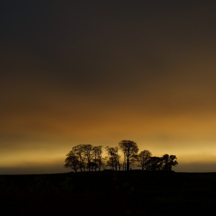 This beautiful image from Tom Ryan shows the trees in Scone in front of a gold glowing sky.