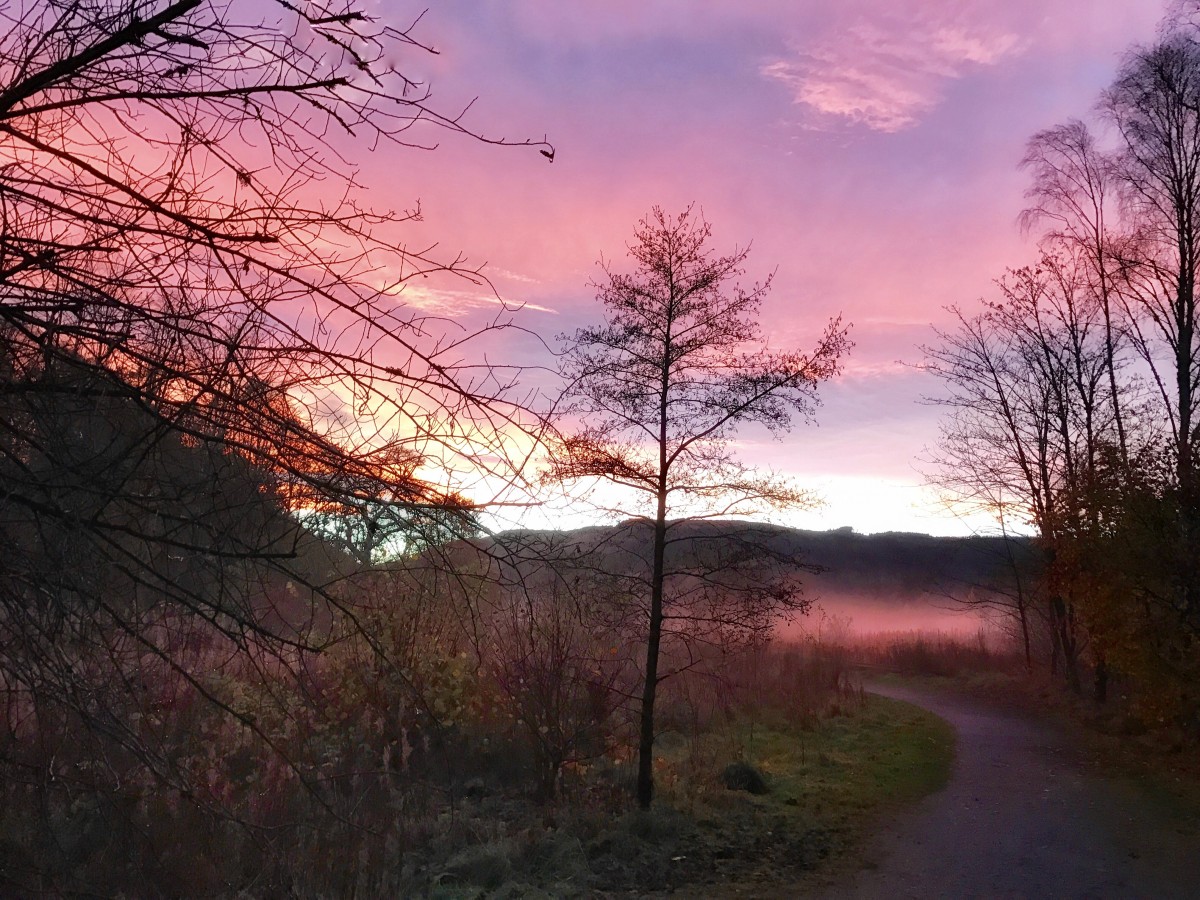 Evelyn Kelly captured this beautiful sky in the Perthshire countryside.  The sky looks like a crushed parma violet!