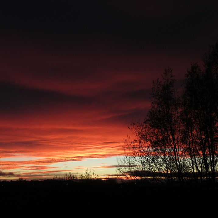 This picture by Gordon Muir shows the red firey sky perfectly.