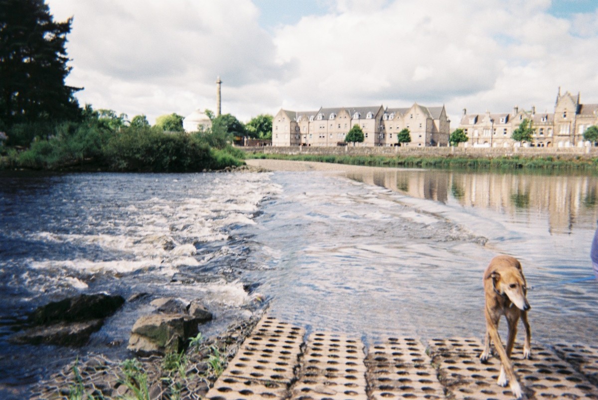 Moncrieffe Island offers a beautiful viewpoint of Perth's many sandstone buildings.