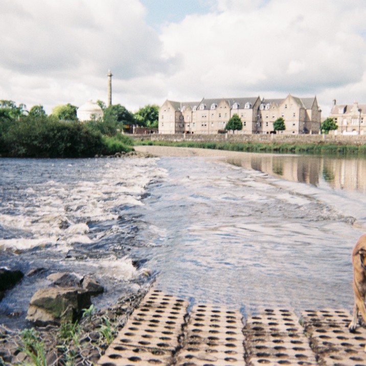 Moncrieffe Island offers a beautiful viewpoint of Perth's many sandstone buildings.
