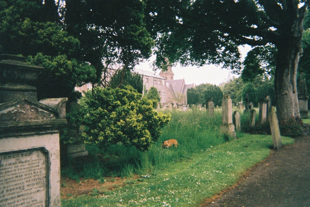 Service users captured images of places in Perth which meant something to them.