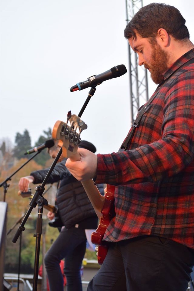 We Came From Wolves guitar