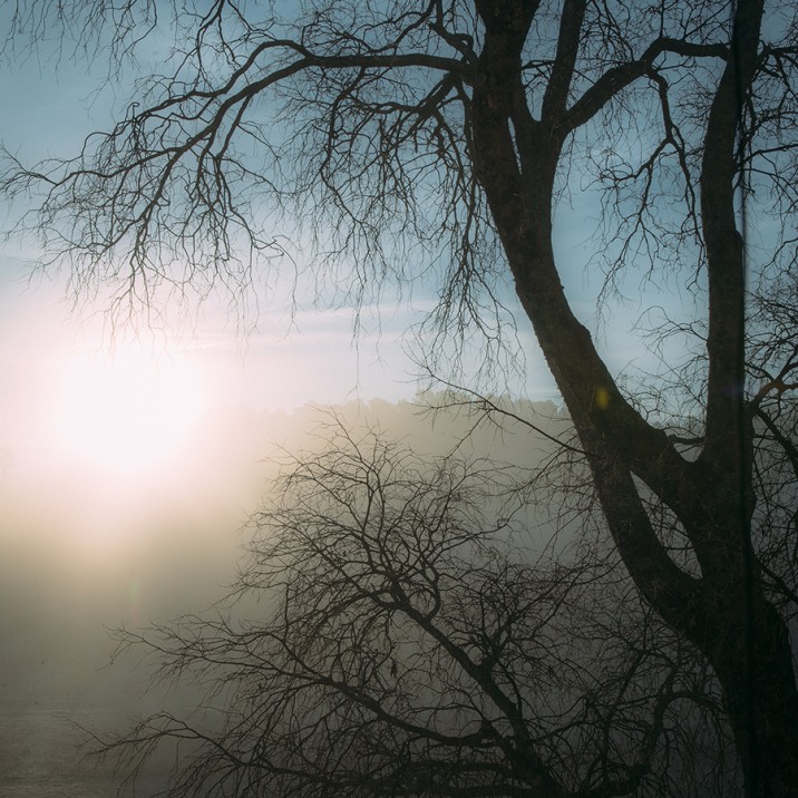 Gill has captured a misty morning in the South of France.