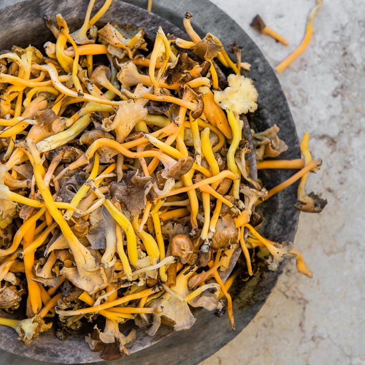 These tasty chanterelle mushrooms add great flavour to the dish.