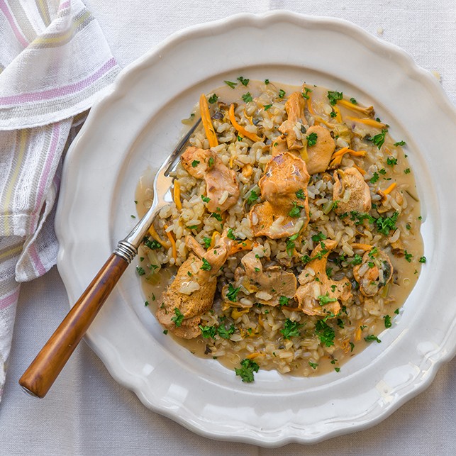 RISOTTO - Plate with fork