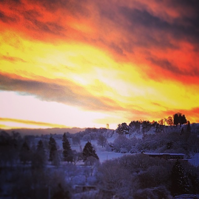Derek Browning caught this beautiful picture for 'Up In The Morning Early' from Craigie Hill.