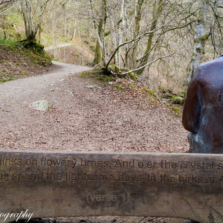 David Ritchie got some wonderful shots of 'The Birks of Aberfeldy'