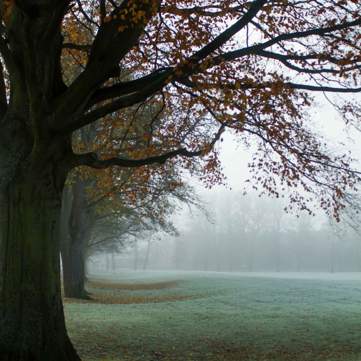 The South Inch looking very atmospheric.