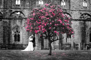 Neil Fordyce pink tree