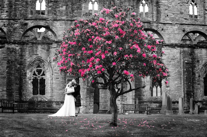 Neil Fordyce pink tree