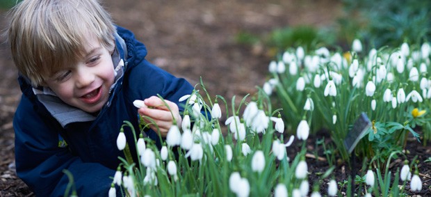 As one of the gardens who participate in the Scottish Snowdrop Festival, Scone Palace invite you to visit their 'Celebration of Snowdrops'.